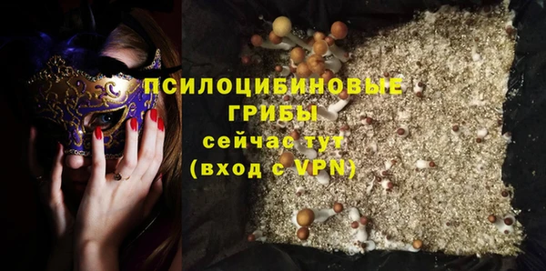 дмт Аркадак